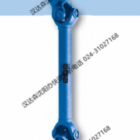 萬向聯(lián)軸器 0.200系列 型號(hào)ELBE 0.204.100
