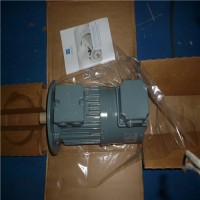 德國VEM滑環(huán)式電機 SPER/ S11R技術(shù)指導