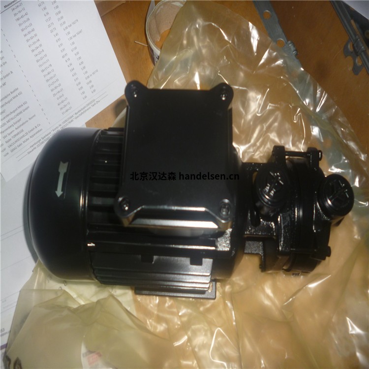 BRINKMANN PUMPS螺桿泵 BRINKMANN PUMPS螺桿泵