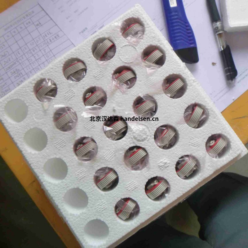 馮哈伯FAULHABER BX4 SC系列無刷直流伺服電機 20607 (1)
