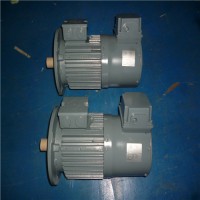 專業(yè)銷售石油、化工和天然氣工業(yè)電機-VEM