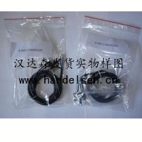 德國原裝進(jìn)口 PINTSCH BUBENZER 液壓鉗盤式制動(dòng)器