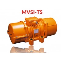 意大利原廠(chǎng)供應(yīng)Italvibras法蘭式振動(dòng)電機(jī)