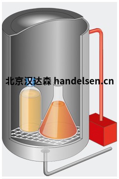 Systec D-65 Systec D-65