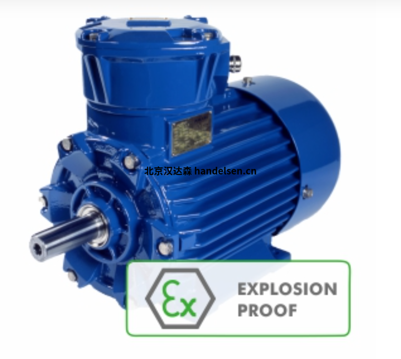 CANTONI ExSh-ExSg系列防爆電機(jī)