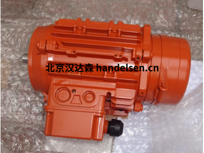 德國ruckh直流永磁電機帶特殊法蘭
