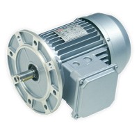 Ber-Mar異步電機逆變器驅(qū)動器IE1: 2 poles原裝進(jìn)口