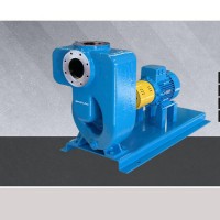 Johnson 離心泵CC  400-200 R6 M2 L1