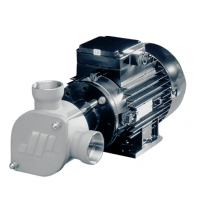 Johnson Pump 柔性葉輪泵-AC  特別適用于艙底、沖洗、消防、化糞池處理和水循環(huán)任務(wù)