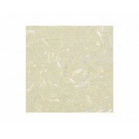 產(chǎn)品照片