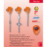 Heinrichs 電阻溫度計(jì)TWL系列，用于液體、固體和氣體的測(cè)量