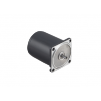 瑞典進(jìn)口Transmotec 感應(yīng)交流減速電機(jī)，功率高達(dá)120W