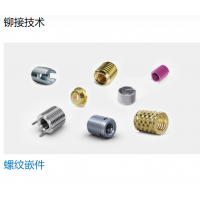 Bossard 提供多種不同類型的螺母，墊圈，螺釘，鉚釘?shù)染o固件