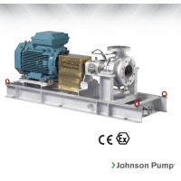 Johnson Pump 重型流程泵，適合化工、煉油廠和一般工業(yè)應(yīng)用