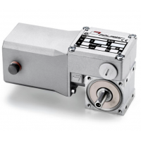 Mini Motor 蝸輪蝸桿直流減速電機(jī)BC2000-24MP，永磁直流電，全封閉
