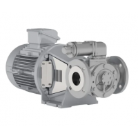 Johnson Pump 內(nèi)嚙合齒輪泵，適用于中等粘度、清潔和非磨蝕性液體