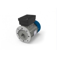M.T. Motori DF 系列電機(jī)具有雙極性的三相自制動電機(jī)