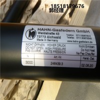 德國Hahn Gasfedern不銹鋼拉伸彈簧G08-19ST-28995國內(nèi)現(xiàn)貨