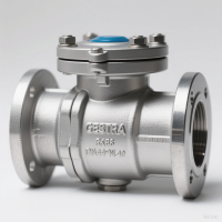 GESTRA RK86DN40PN40 止回閥：蒸汽與工業(yè)流體系統(tǒng)的堅固守護(hù)者