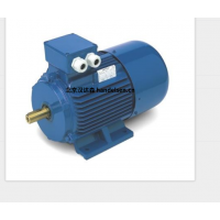 意大利 OEMER 異步電機(jī) MTES3 系列：高效驅(qū)動，賦能工業(yè)新動能